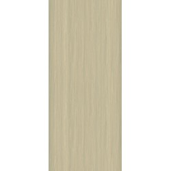 Płyta Węglowa WPC Light Wood 280x110 cm